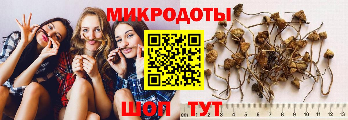 купить наркотик  Галлюциногенные грибы GOLDEN TEACHER  Вход с VPN  Лосино-Петровский 