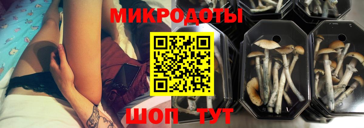 Галлюциногенные грибы Magic Shrooms Лосино-Петровский